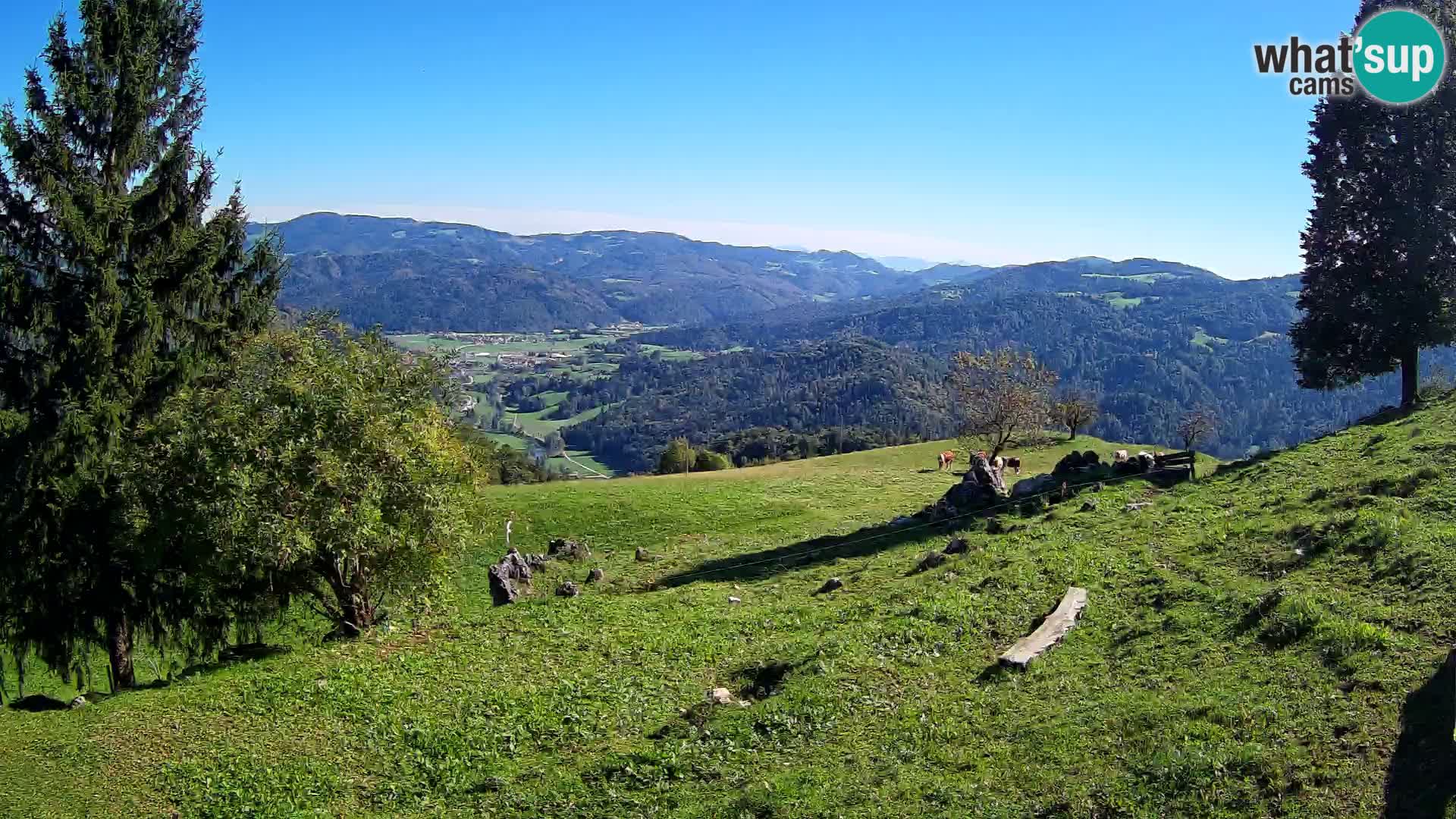 Slajka camera en vivo | Gorenja Vas | Eslovenia