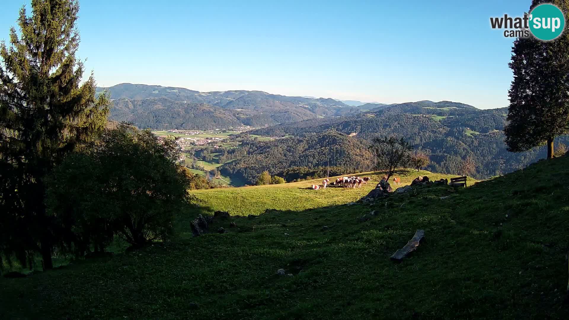 Slajka camera en vivo | Gorenja Vas | Eslovenia