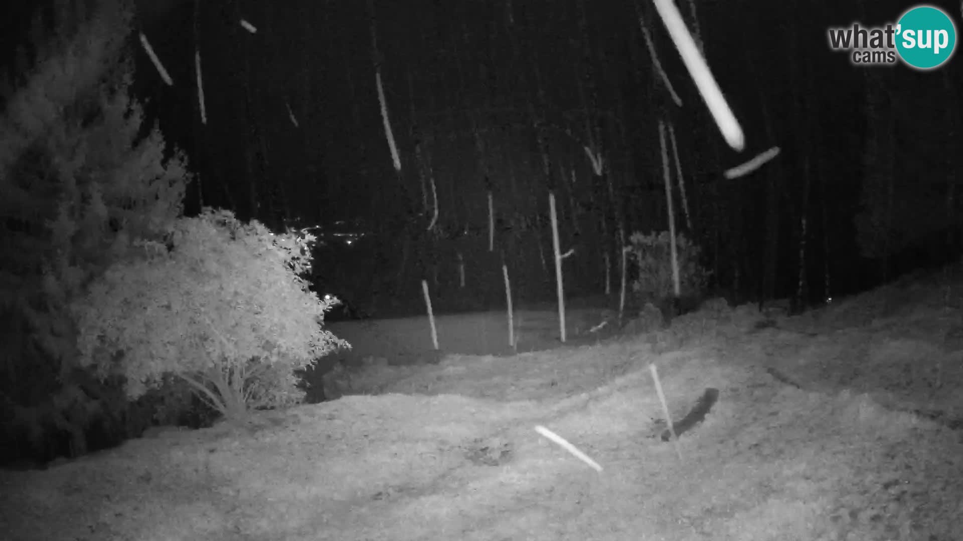 Slajka webcam | Gorenja Vas | Slowenien