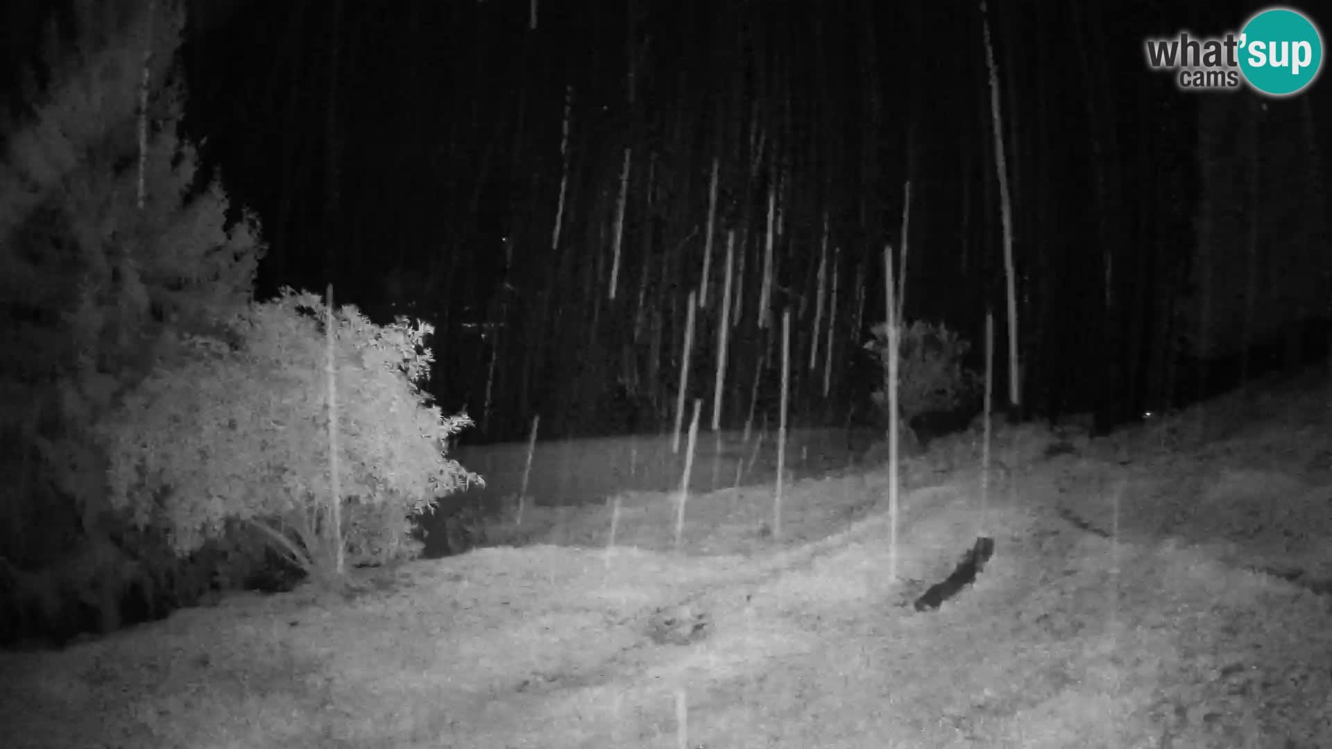 Slajka webcam | Gorenja Vas | Slowenien
