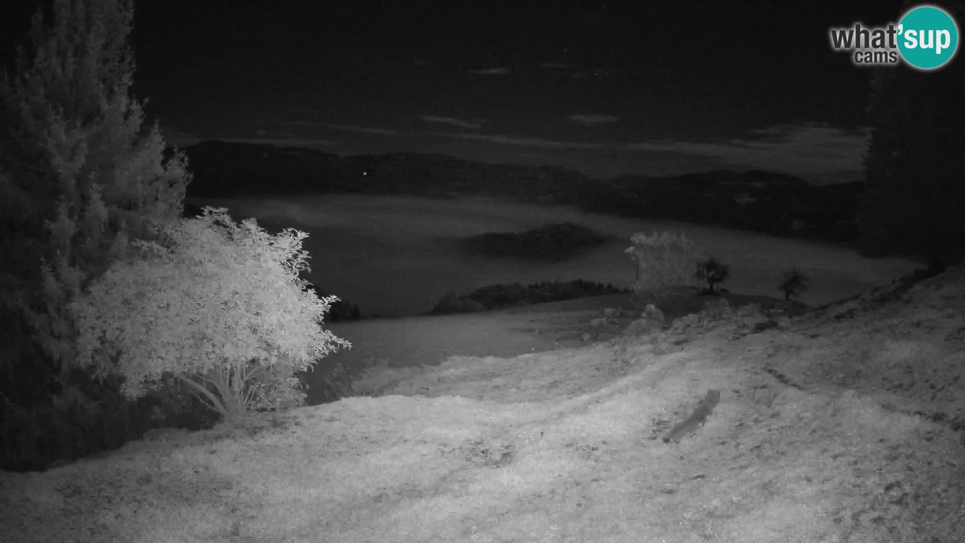 Slajka camera en vivo | Gorenja Vas | Eslovenia