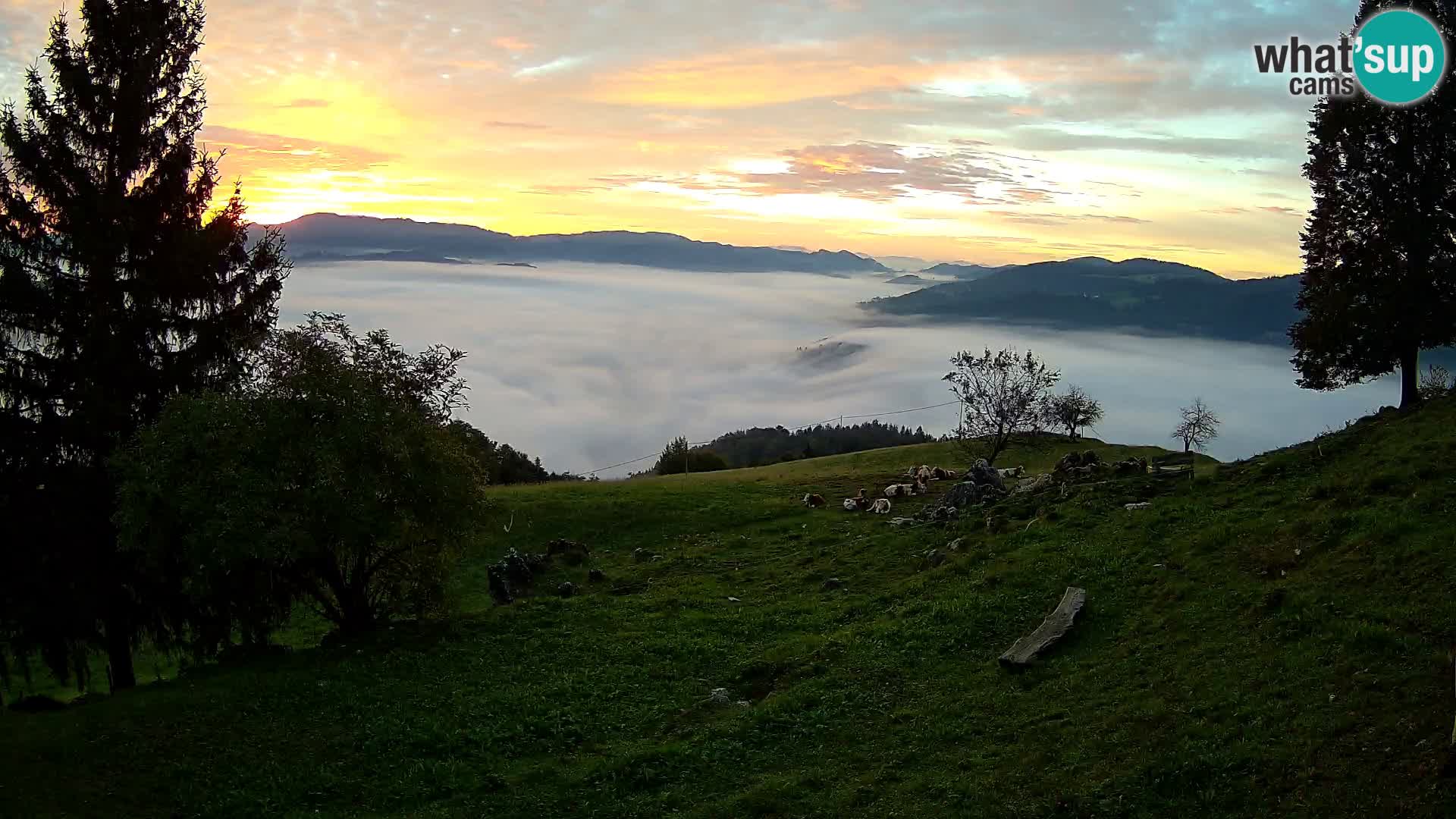Slajka livecam | Gorenja Vas | Slovénie