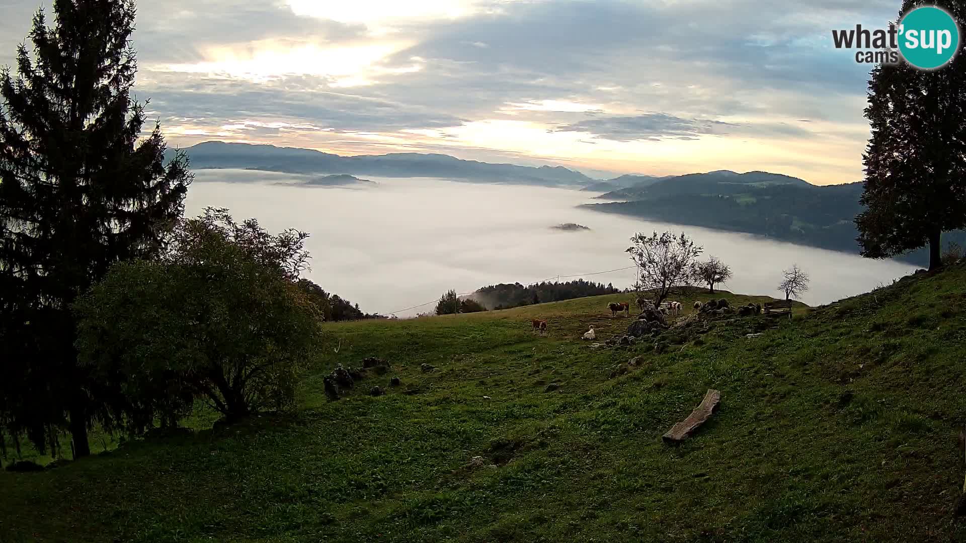Slajka webam | Gorenja vas | Slovenia