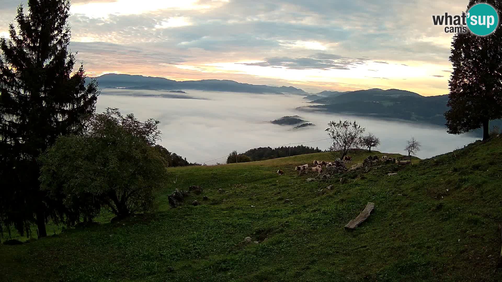 Slajka camera en vivo | Gorenja Vas | Eslovenia