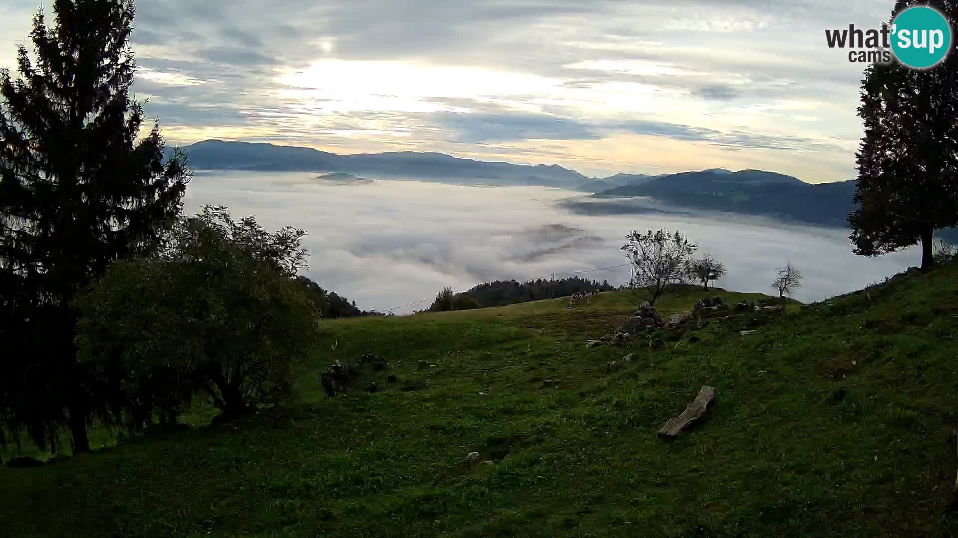 Slajka livecam | Gorenja Vas | Slovénie