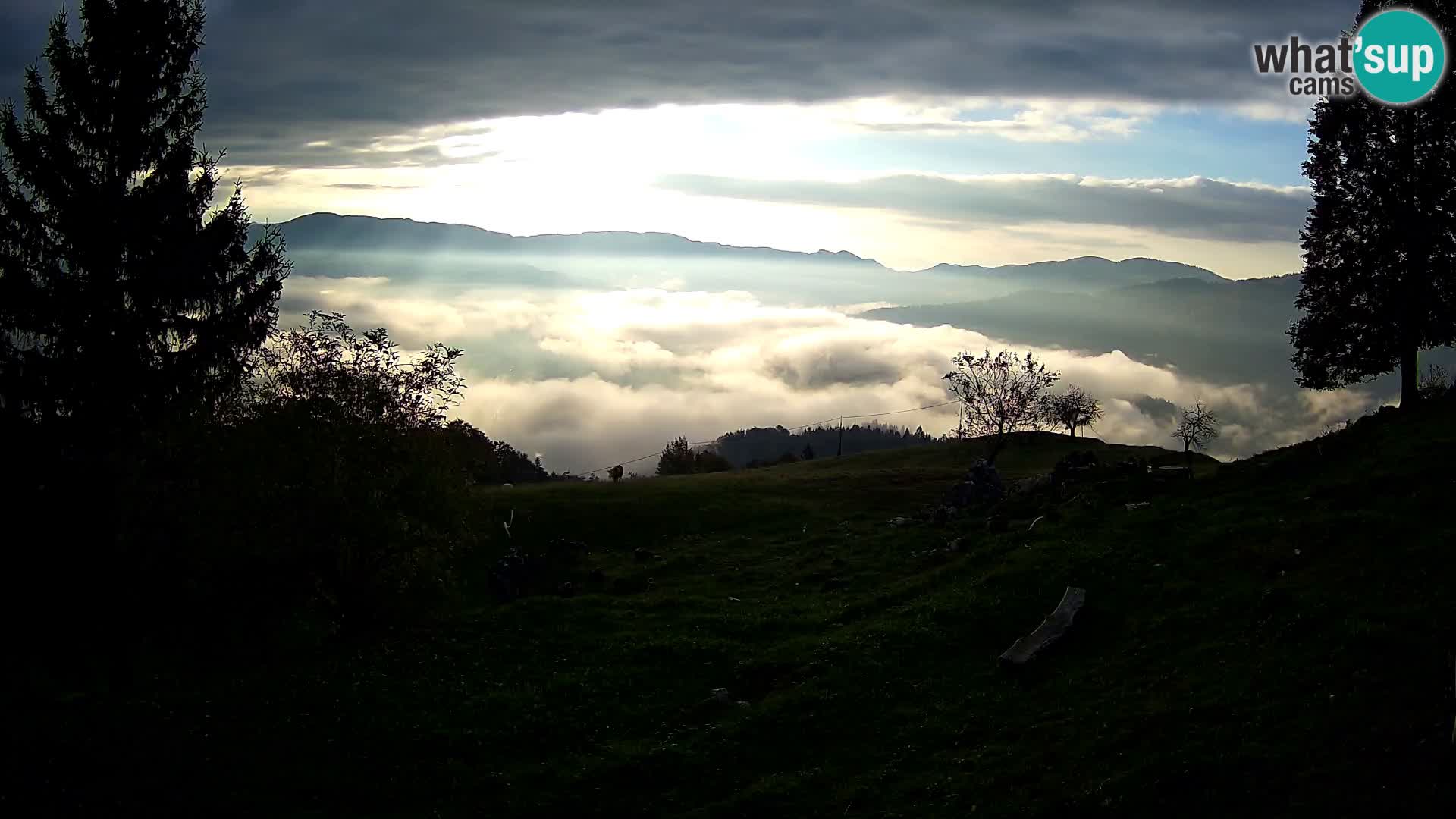 Slajka livecam | Gorenja Vas | Slovénie