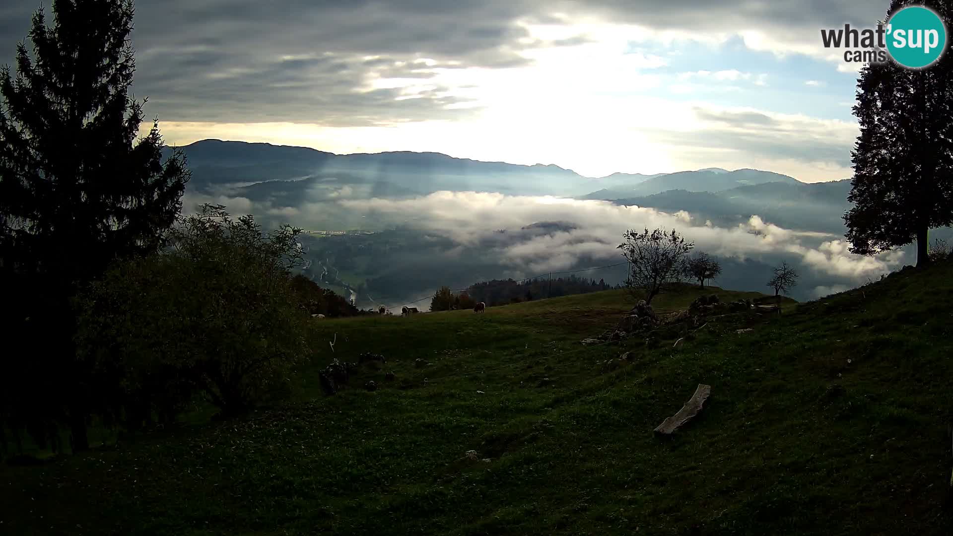 Slajka camera en vivo | Gorenja Vas | Eslovenia