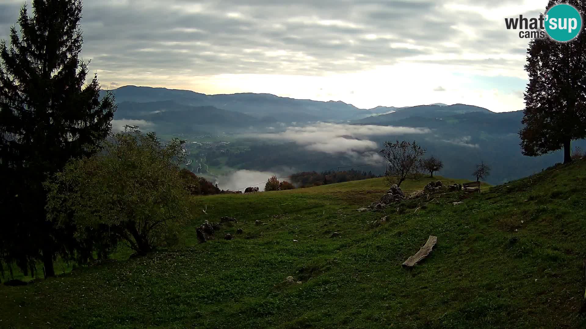 Slajka webcam | Gorenja Vas | Slowenien
