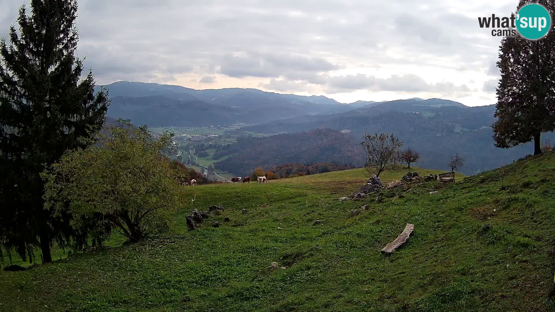 Slajka web kamera | Gorenja Vas | Slovenija