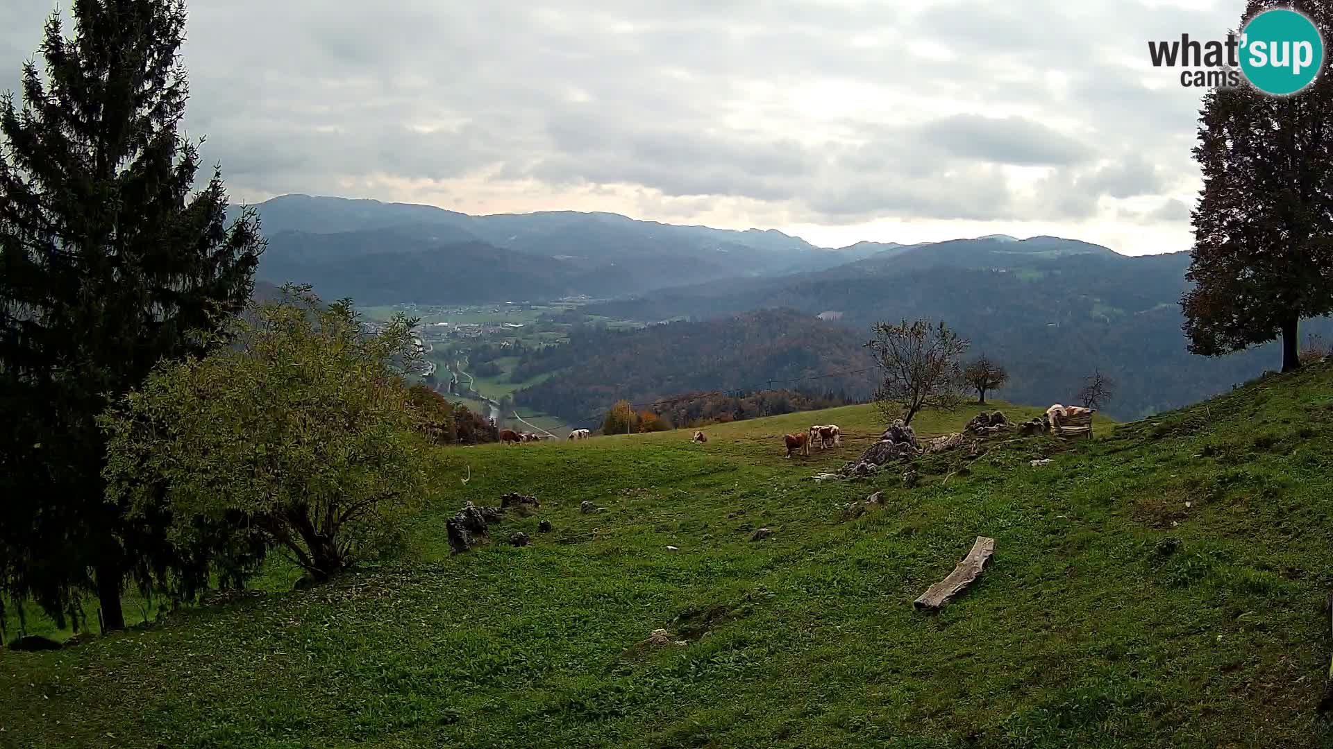 Slajka livecam | Gorenja Vas | Slovénie