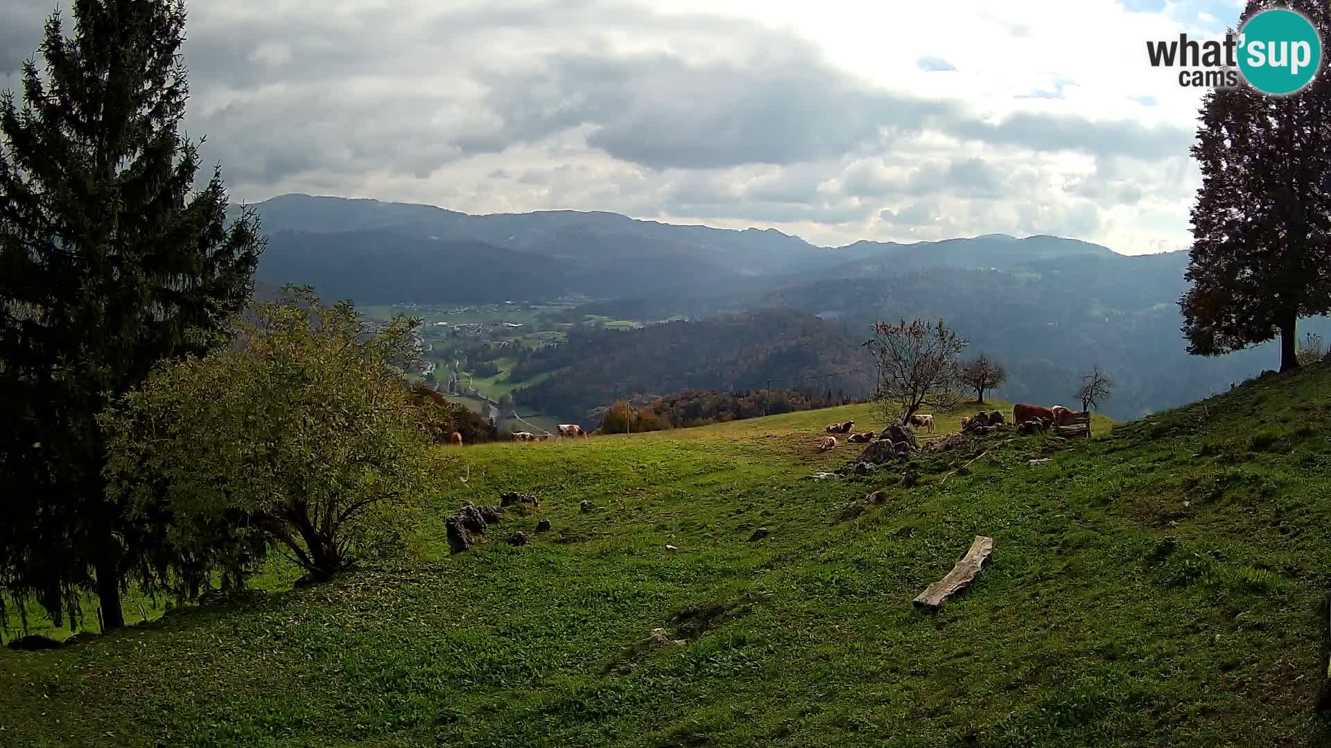 Slajka livecam | Gorenja Vas | Slovénie