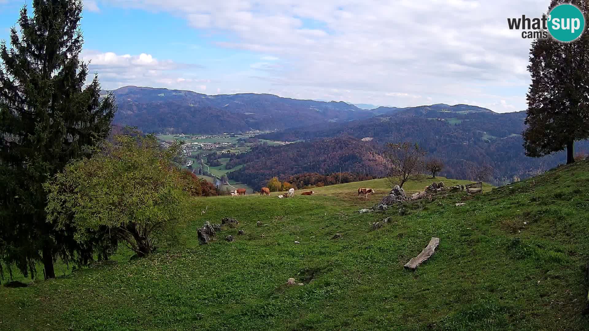 Slajka webcam | Gorenja Vas | Slowenien