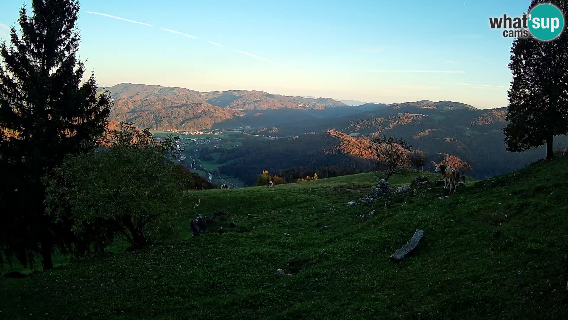 Slajka webam | Gorenja vas | Slovenia