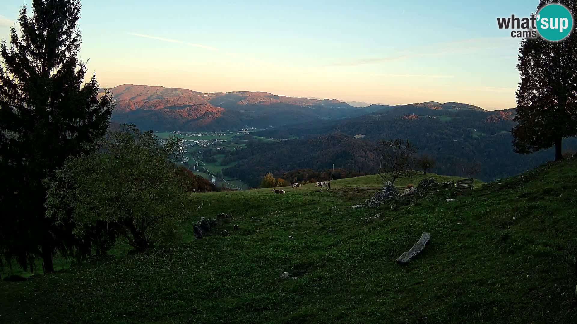 Slajka camera en vivo | Gorenja Vas | Eslovenia