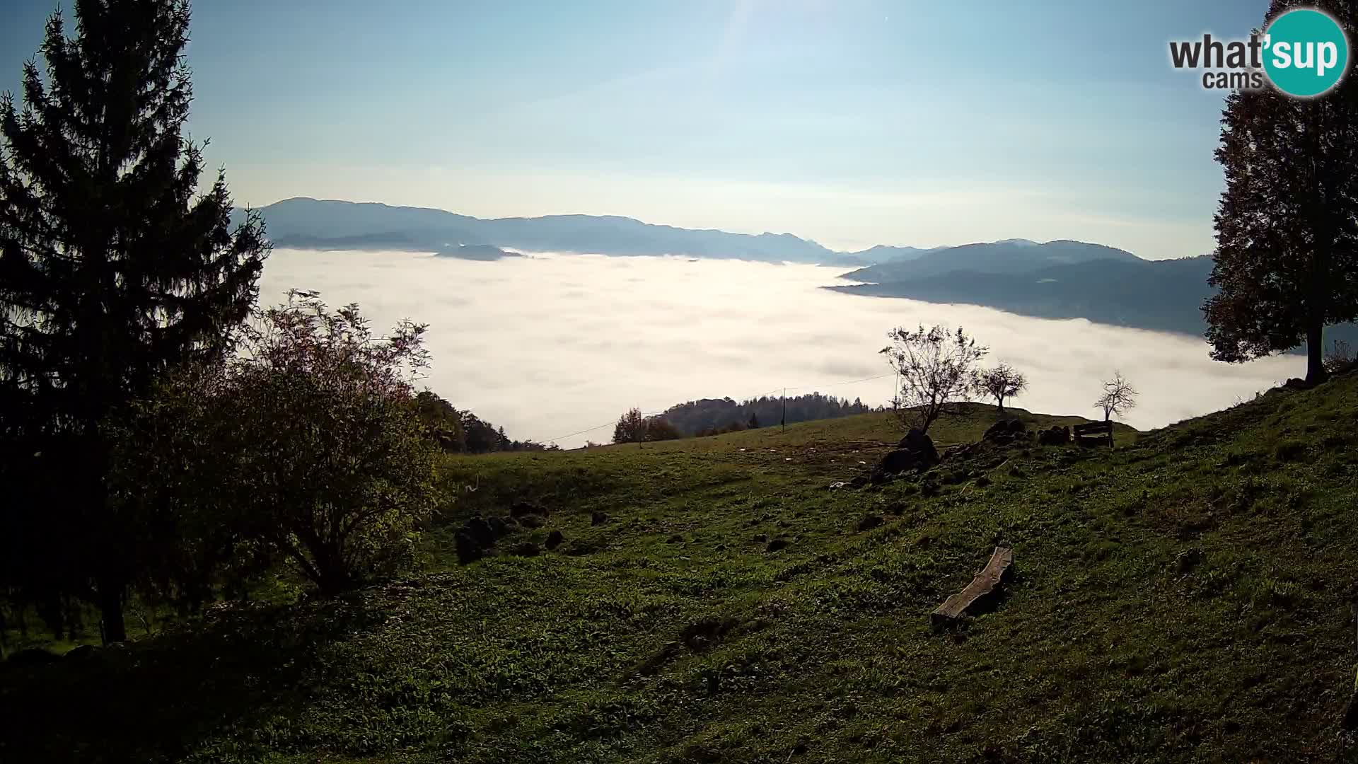 Slajka webam | Gorenja vas | Slovenia