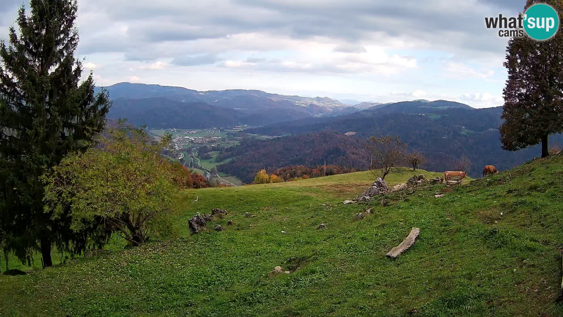 Slajka webam | Gorenja vas | Slovenia