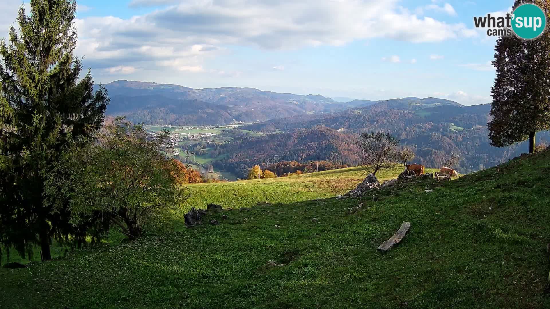 Slajka livecam | Gorenja Vas | Slovénie