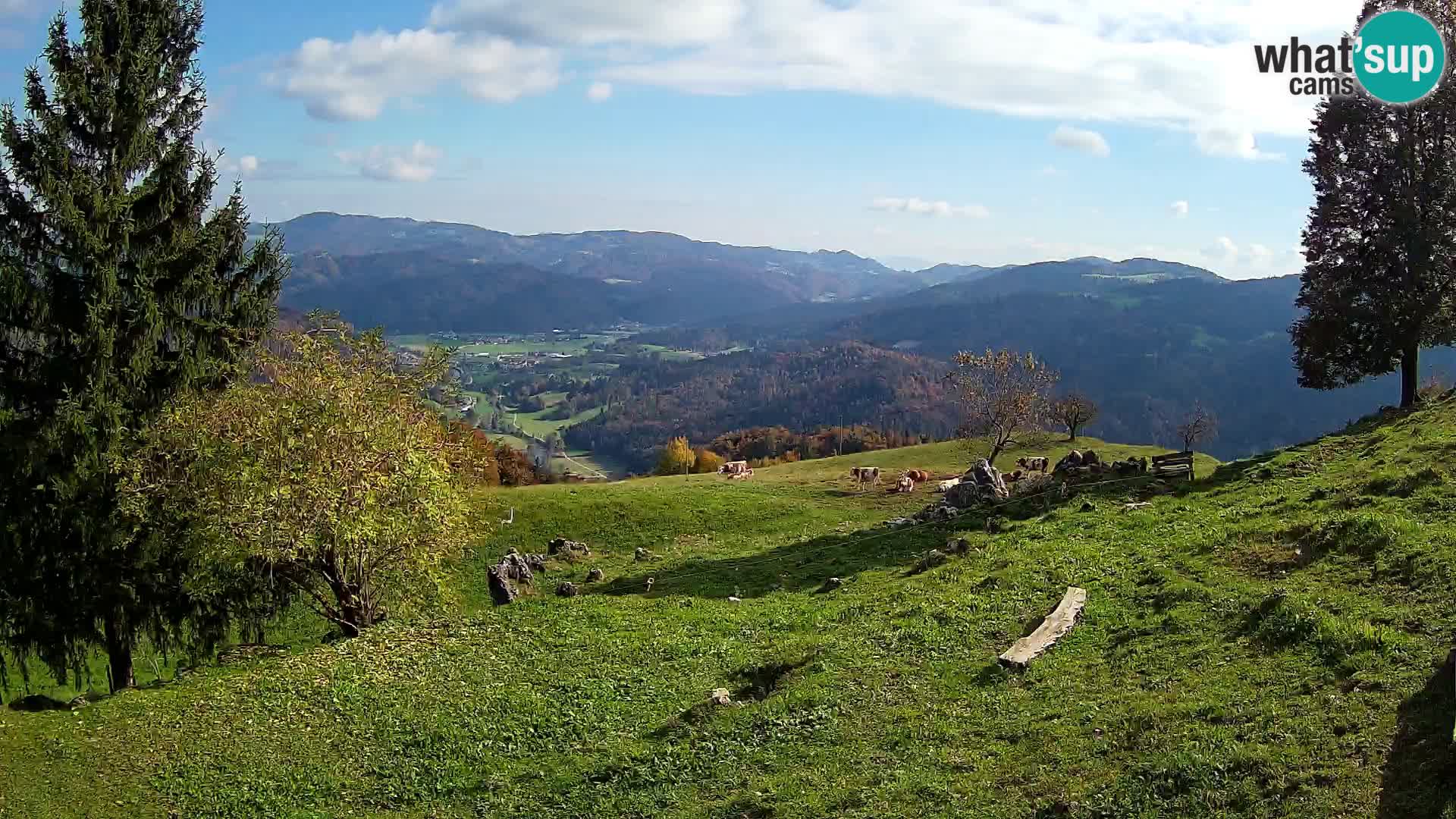 Slajka livecam | Gorenja Vas | Slovénie