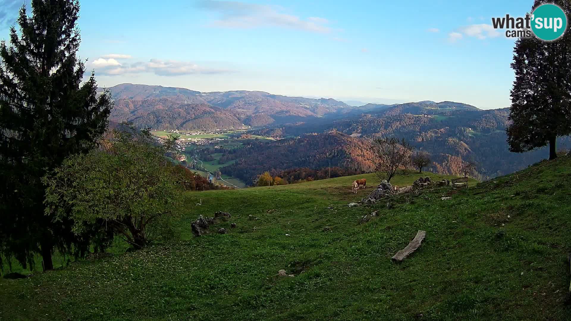 Slajka livecam | Gorenja Vas | Slovénie