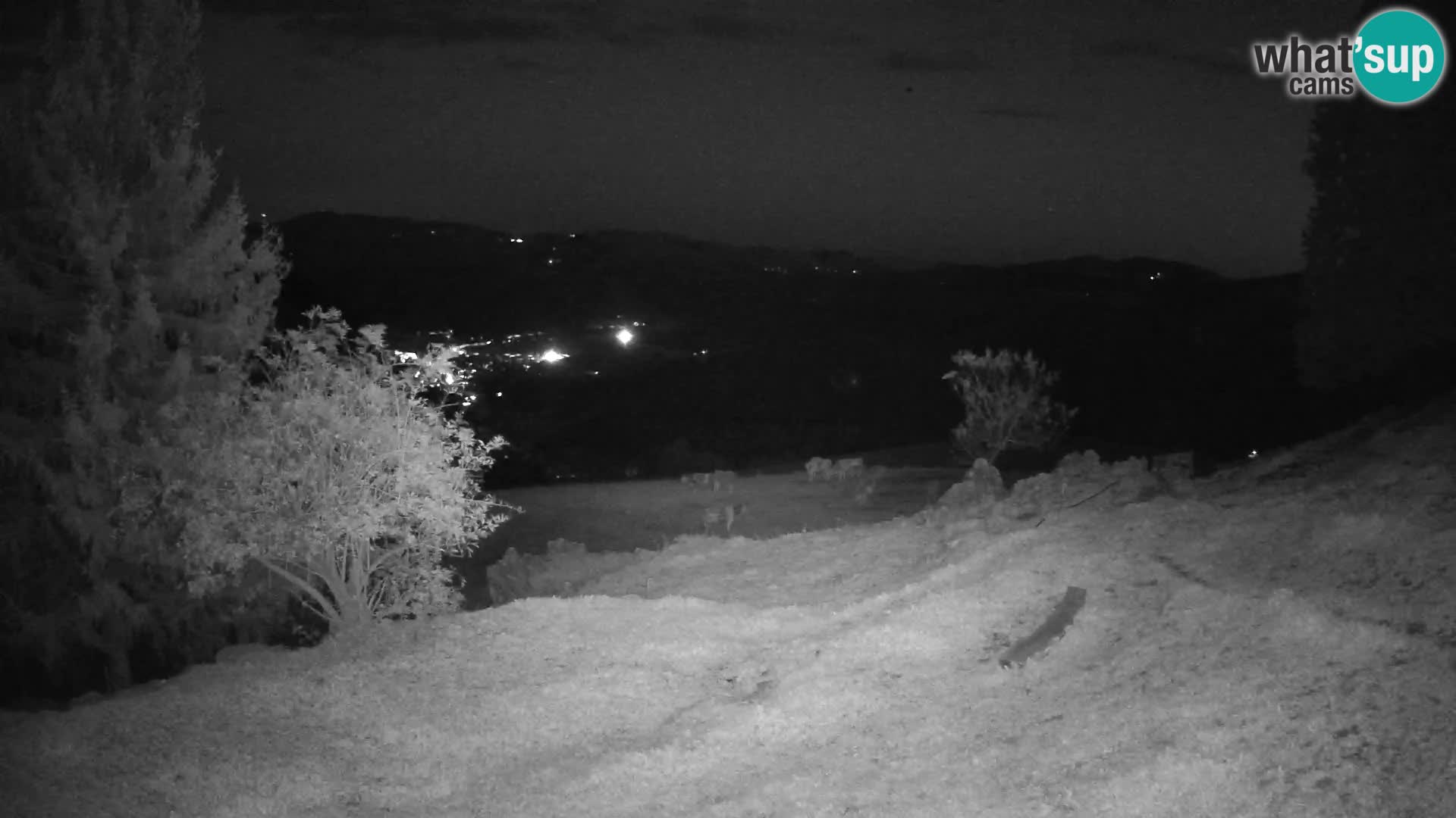 Slajka livecam | Gorenja Vas | Slovénie