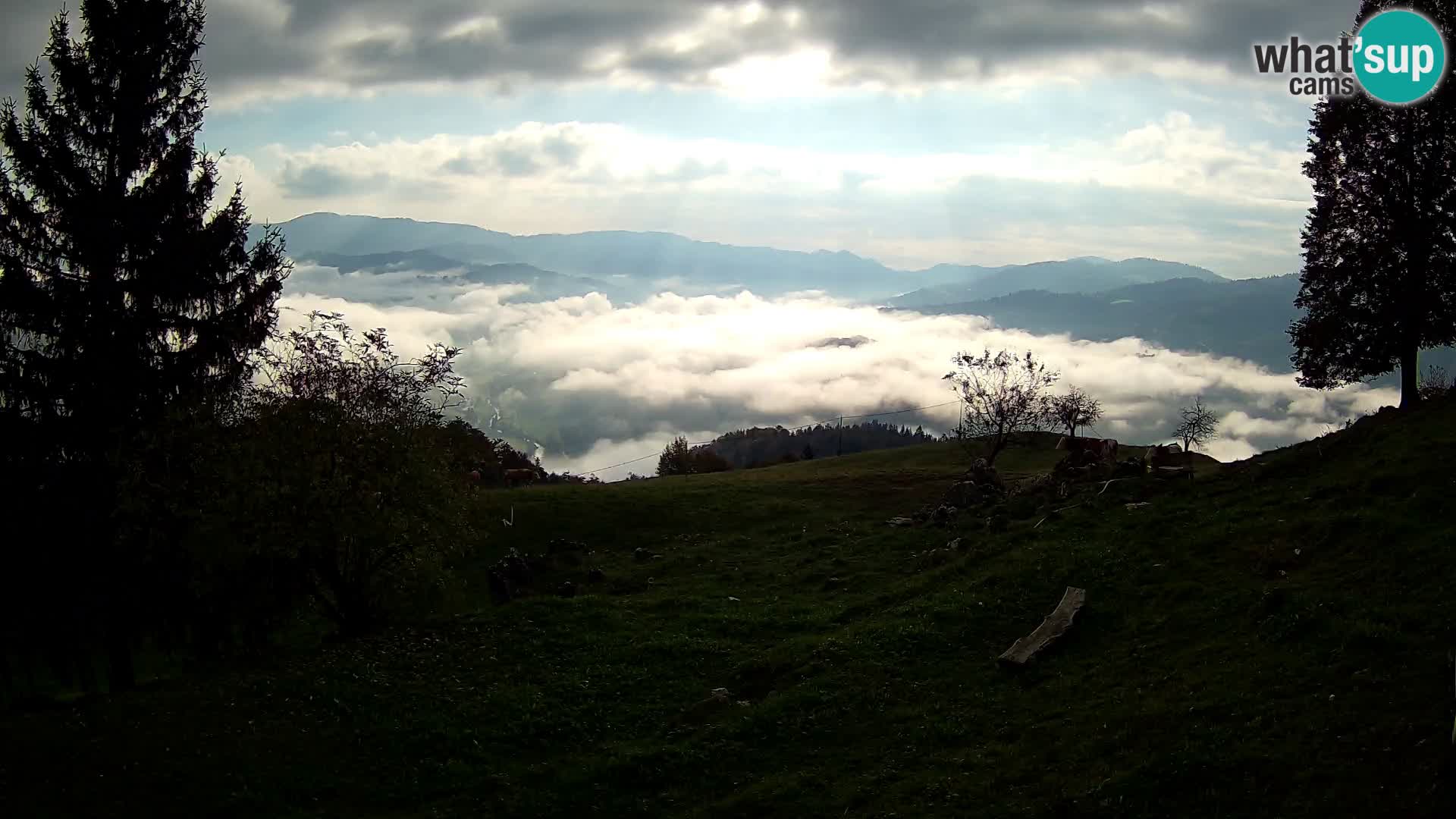 Slajka livecam | Gorenja Vas | Slovénie