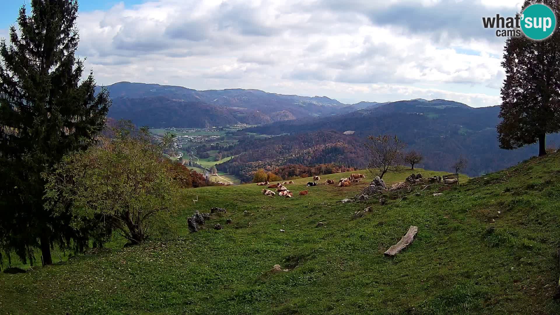Slajka livecam | Gorenja Vas | Slovénie