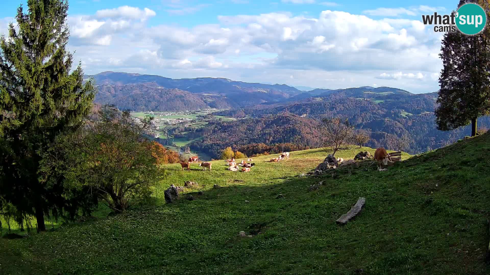 Slajka webam | Gorenja vas | Slovenia