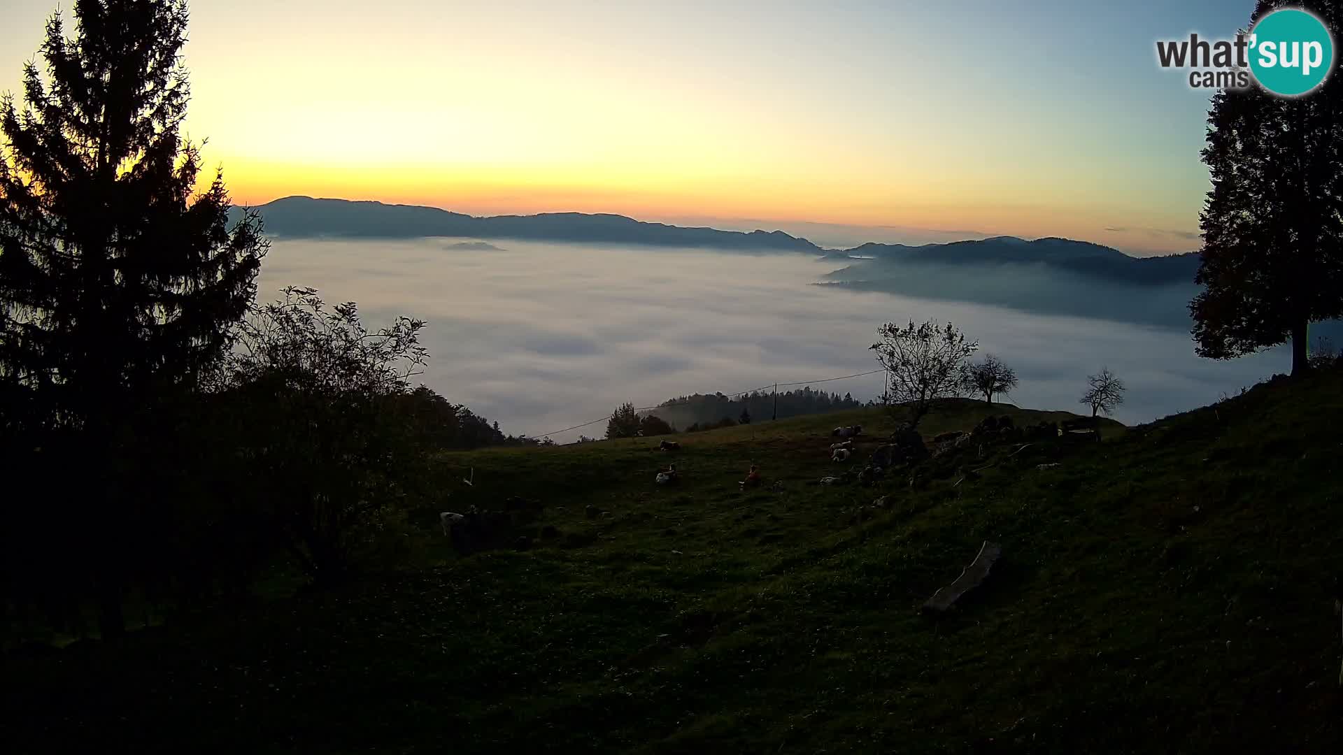 Slajka webam | Gorenja vas | Slovenia