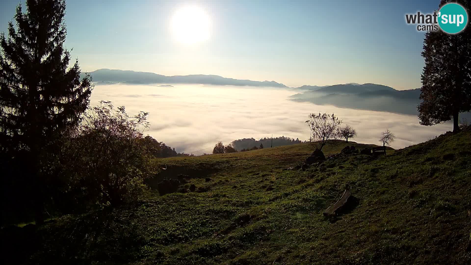 Slajka web kamera | Gorenja Vas | Slovenija