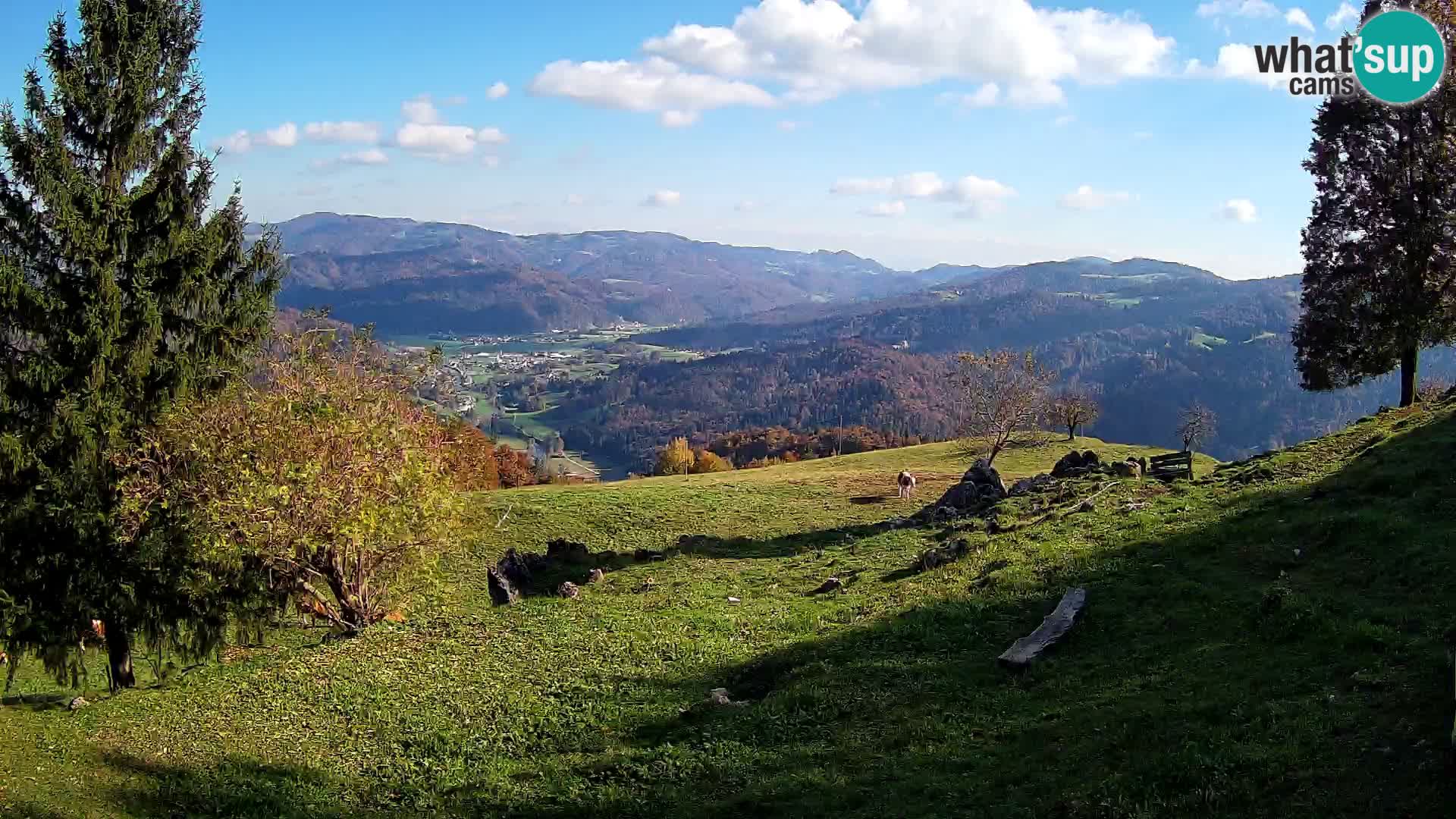 Slajka camera en vivo | Gorenja Vas | Eslovenia
