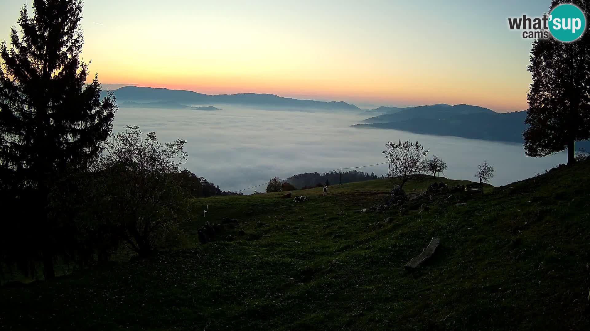 Slajka webcam | Gorenja Vas | Slowenien