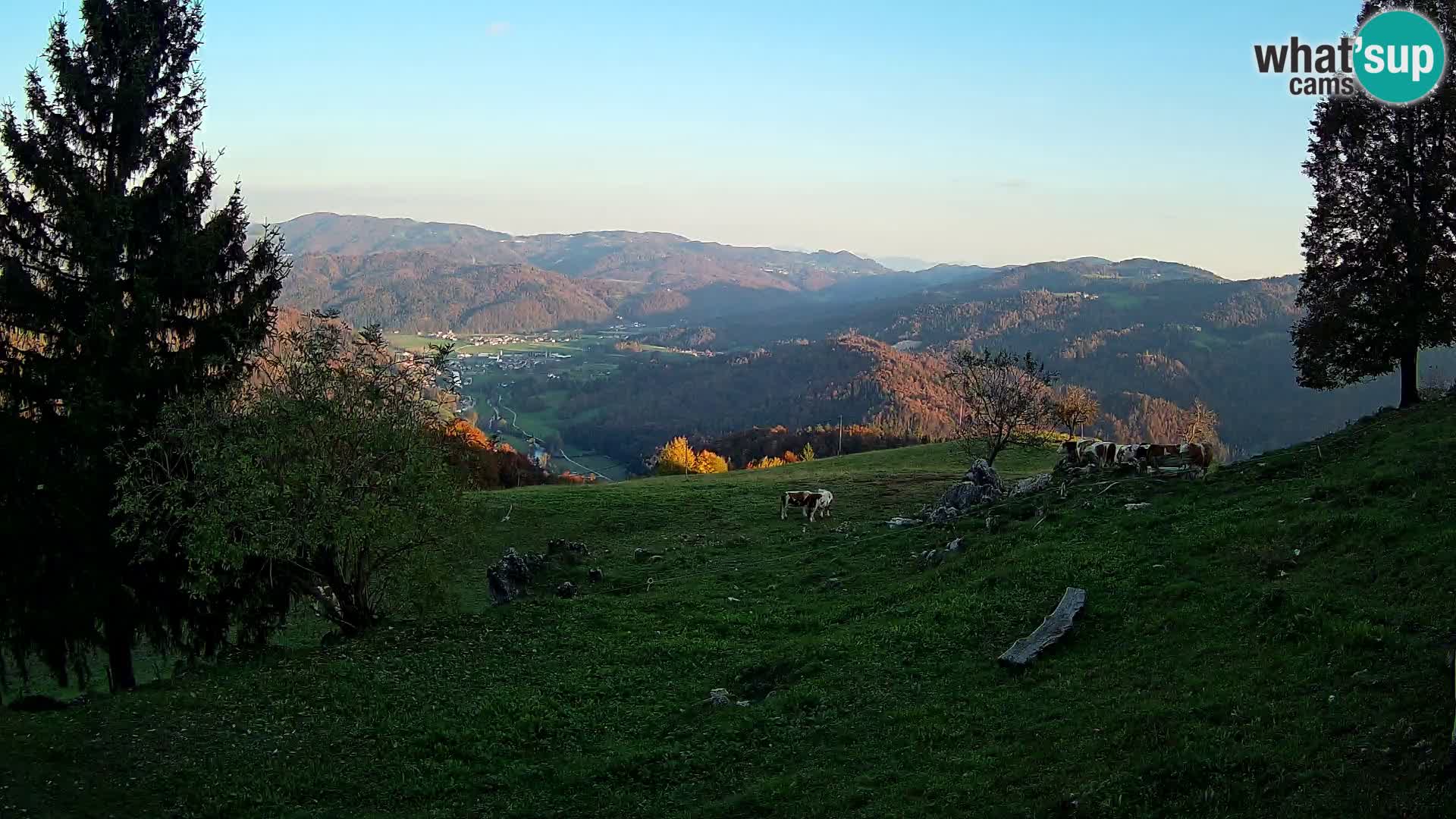 Slajka web kamera | Gorenja Vas | Slovenija