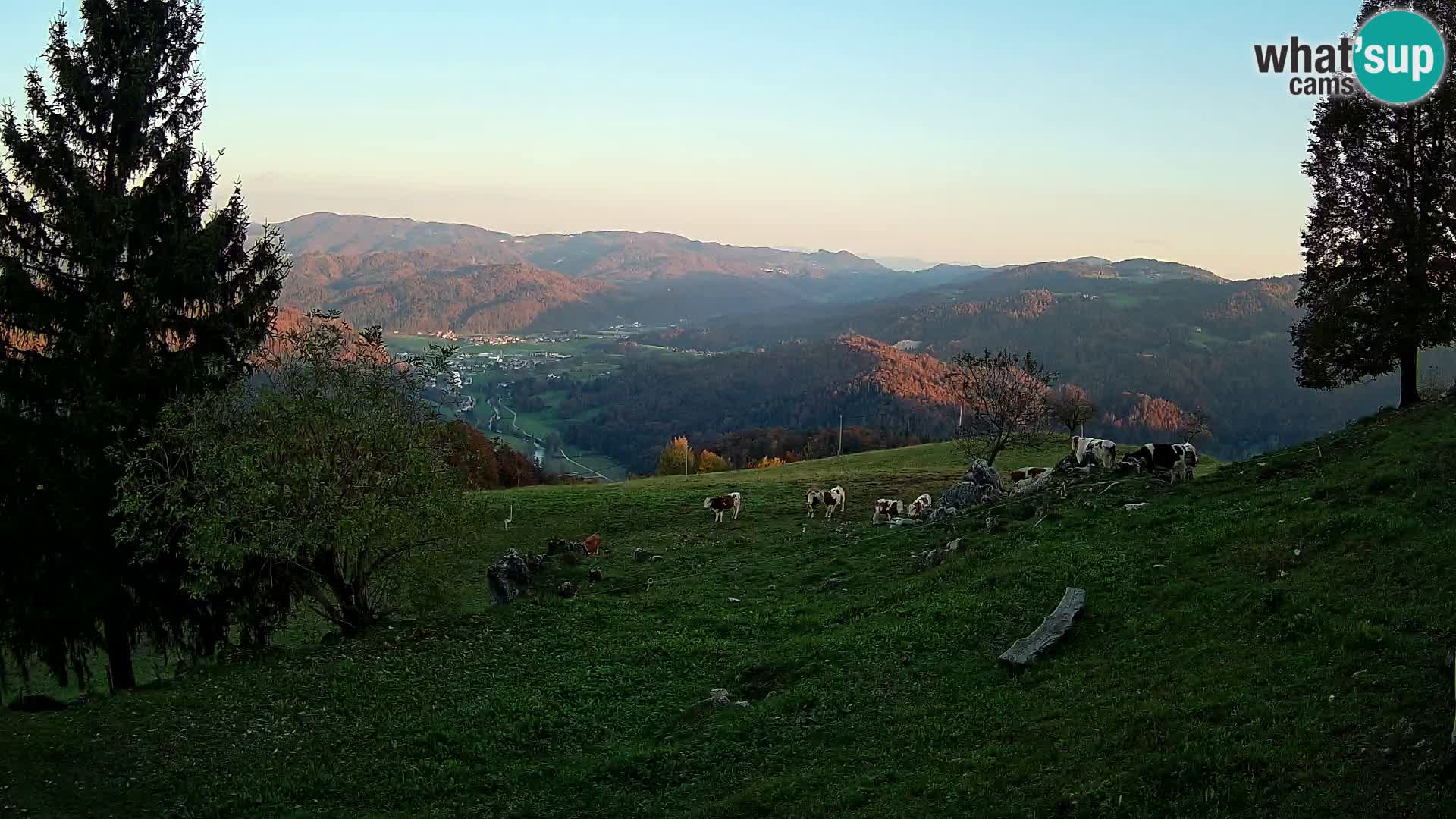 Slajka webcam | Gorenja Vas | Slowenien