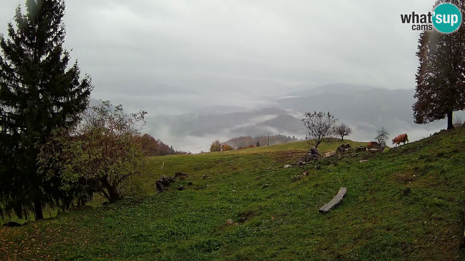 Slajka webcam | Gorenja Vas | Slowenien