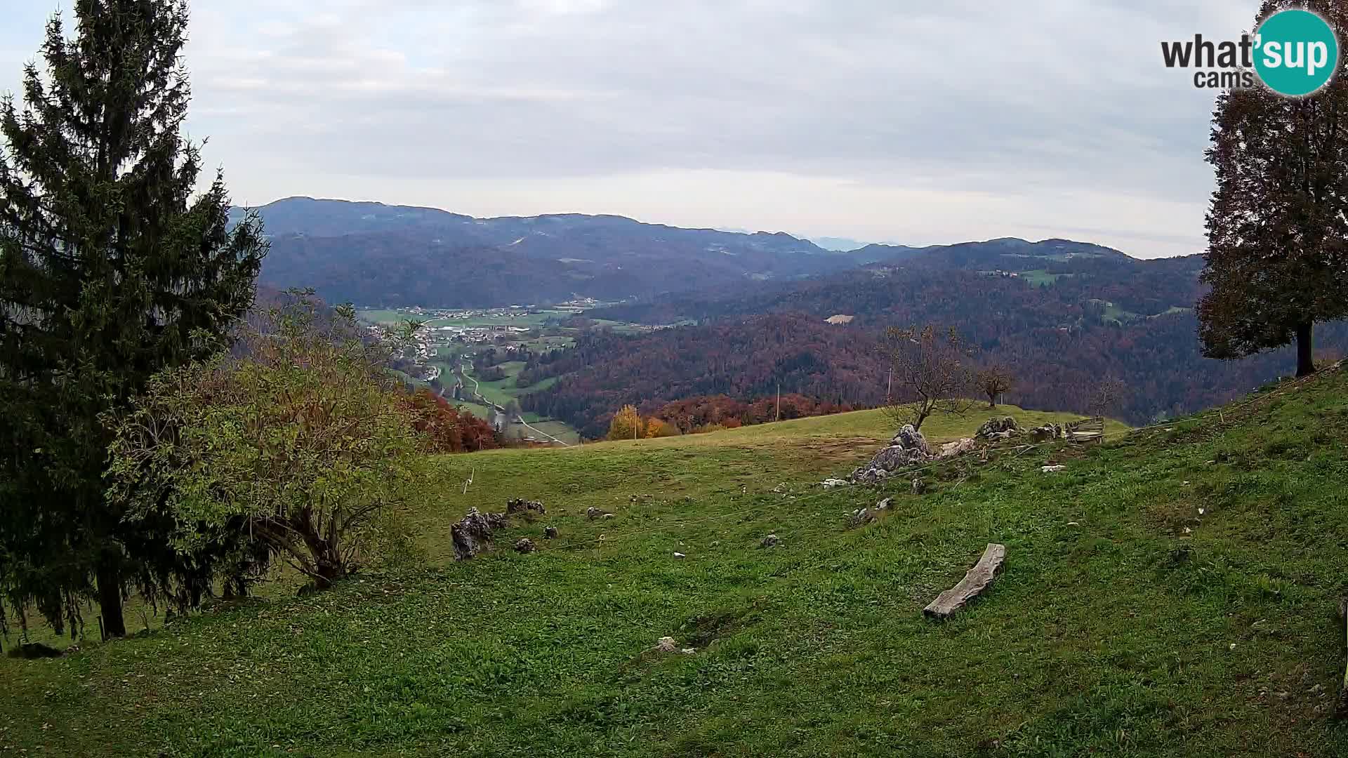 Slajka livecam | Gorenja Vas | Slovénie