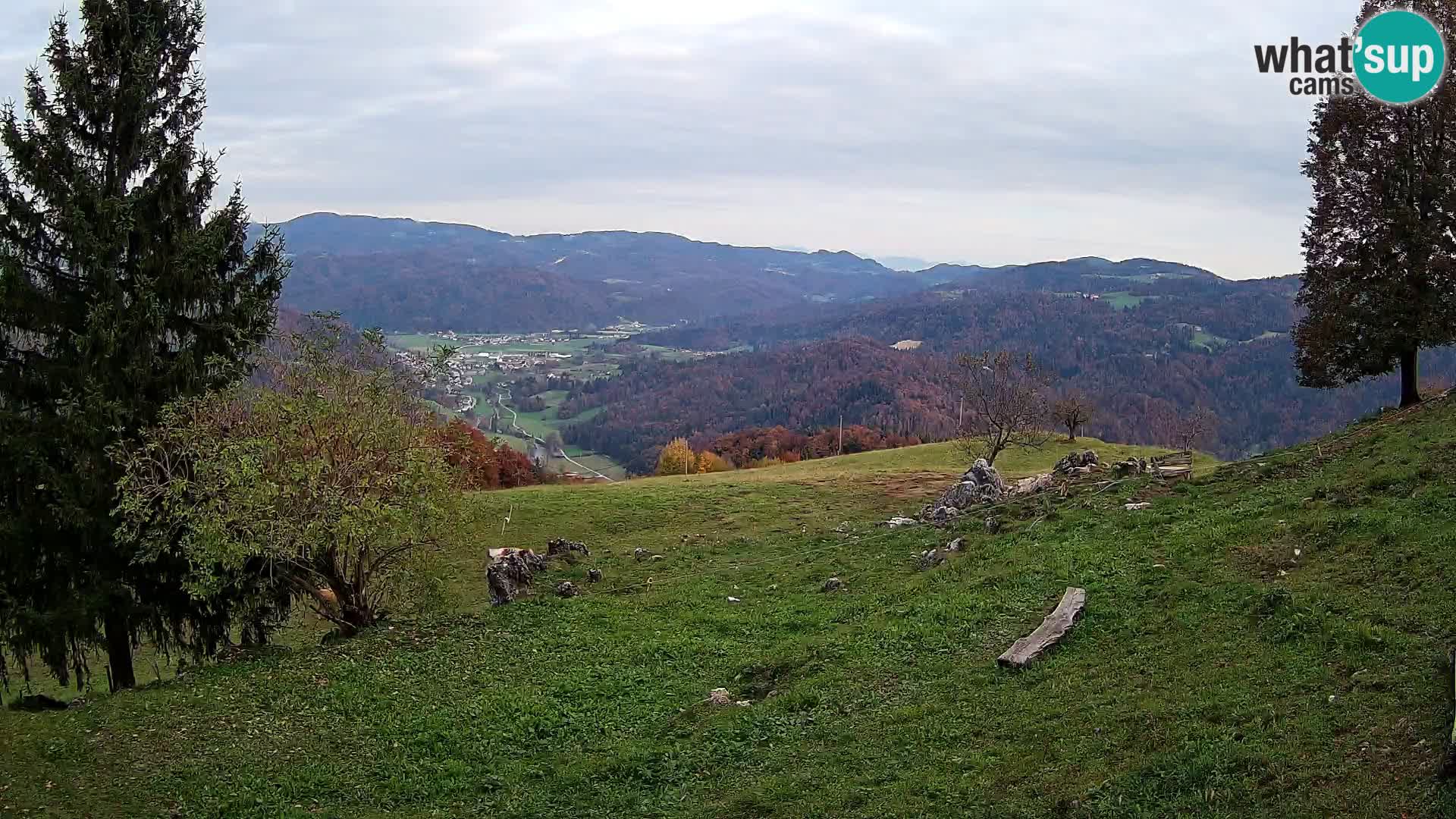 Slajka webam | Gorenja vas | Slovenia