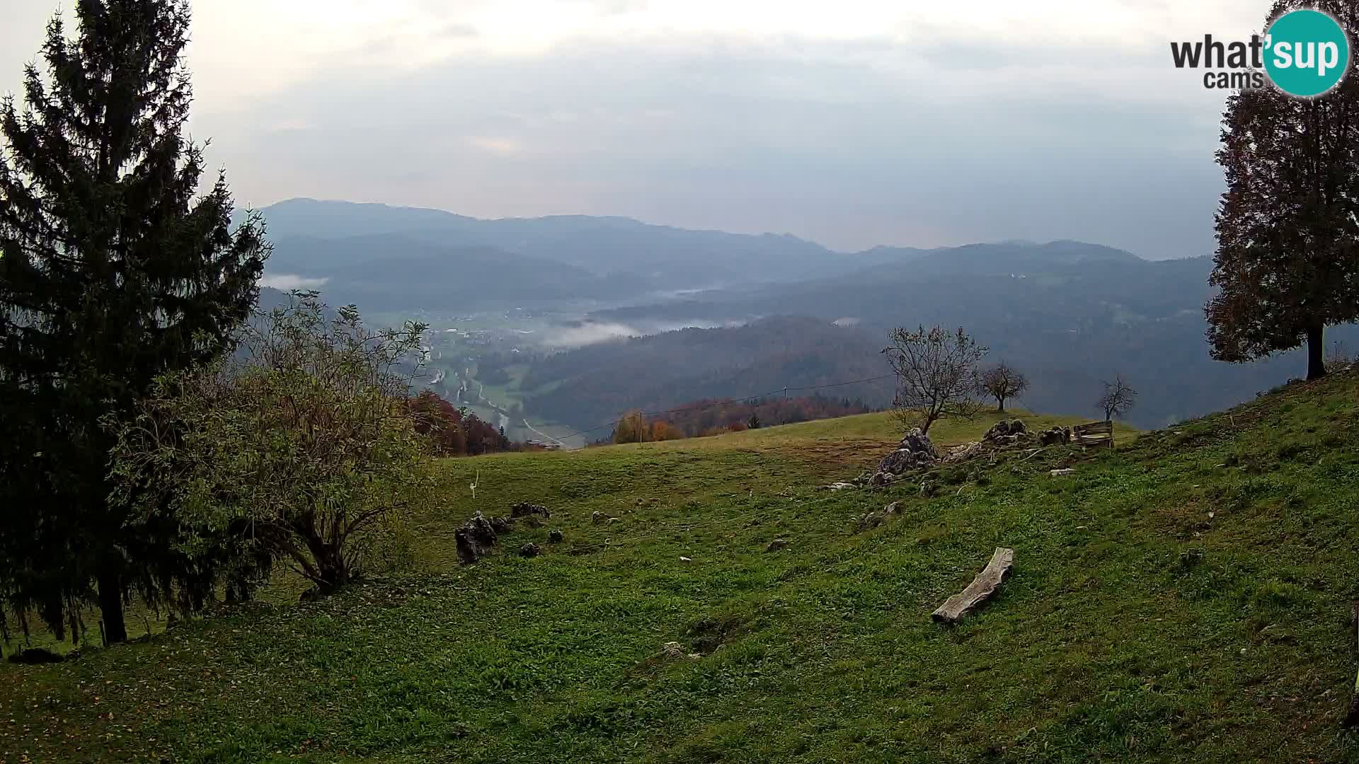 Slajka camera en vivo | Gorenja Vas | Eslovenia