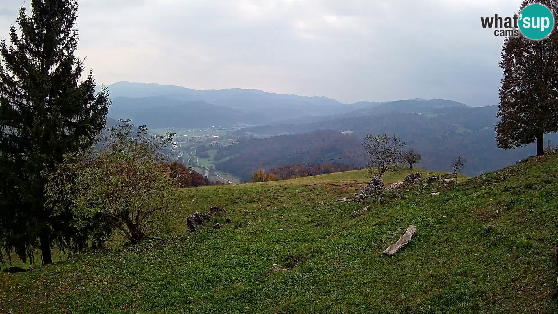 Slajka webam | Gorenja vas | Slovenia