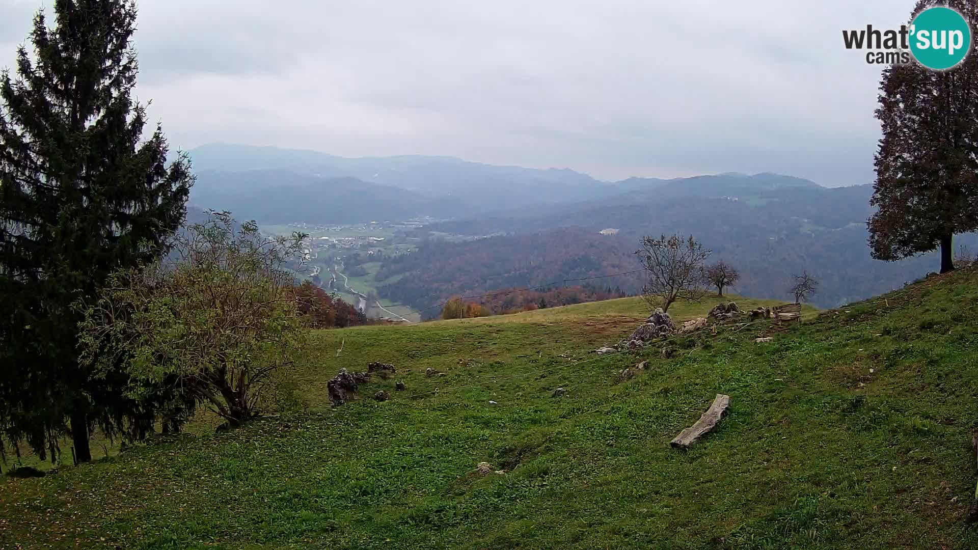 Slajka webam | Gorenja vas | Slovenia