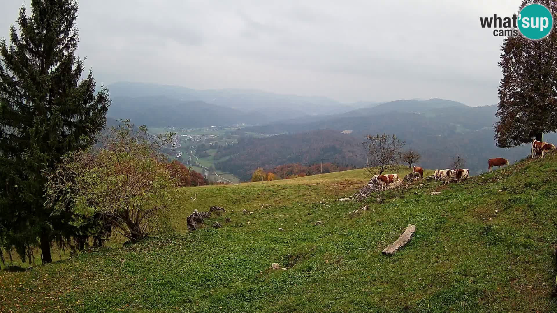 Webcam Slajka | Gorenja vas | Slovenia