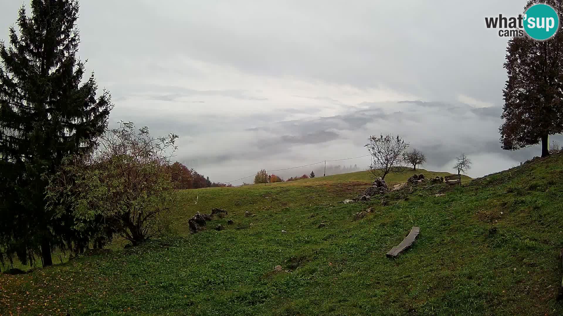 Slajka livecam | Gorenja Vas | Slovénie