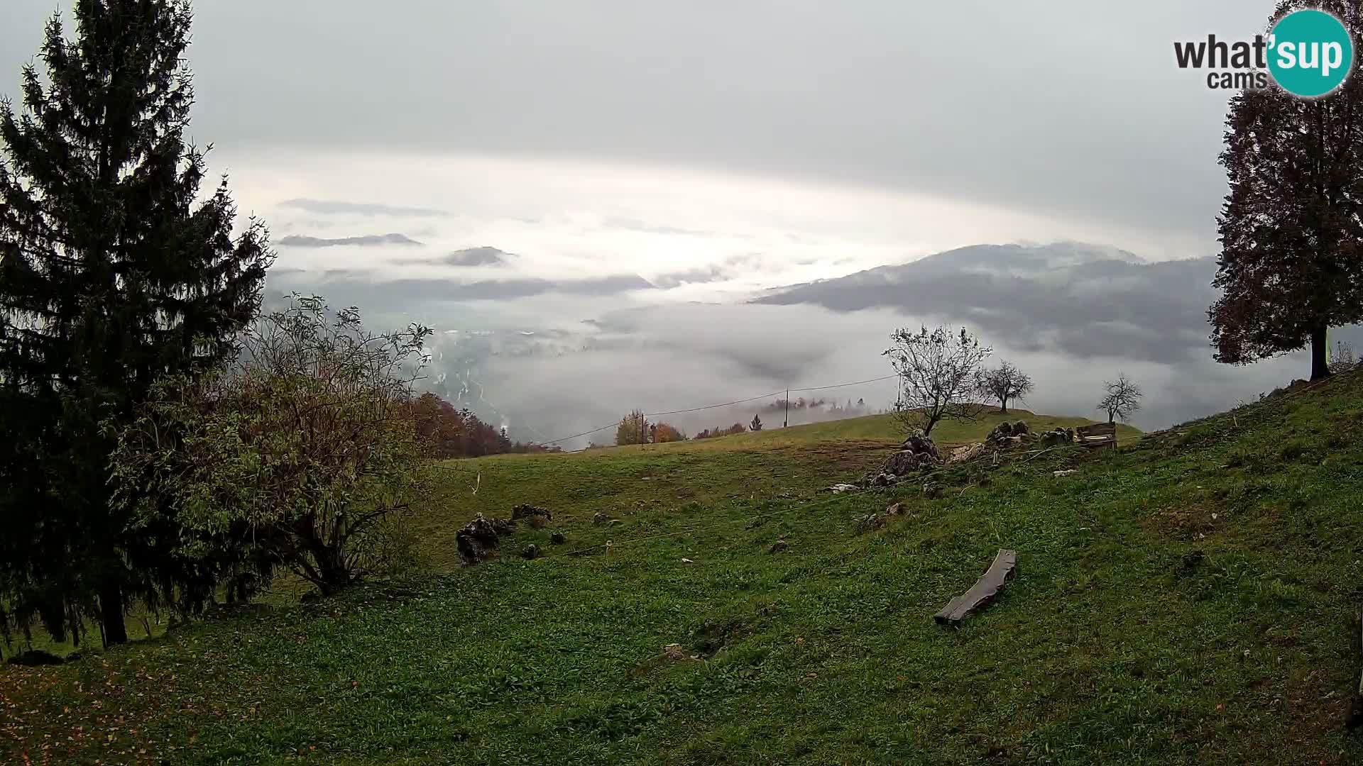Slajka webam | Gorenja vas | Slovenia