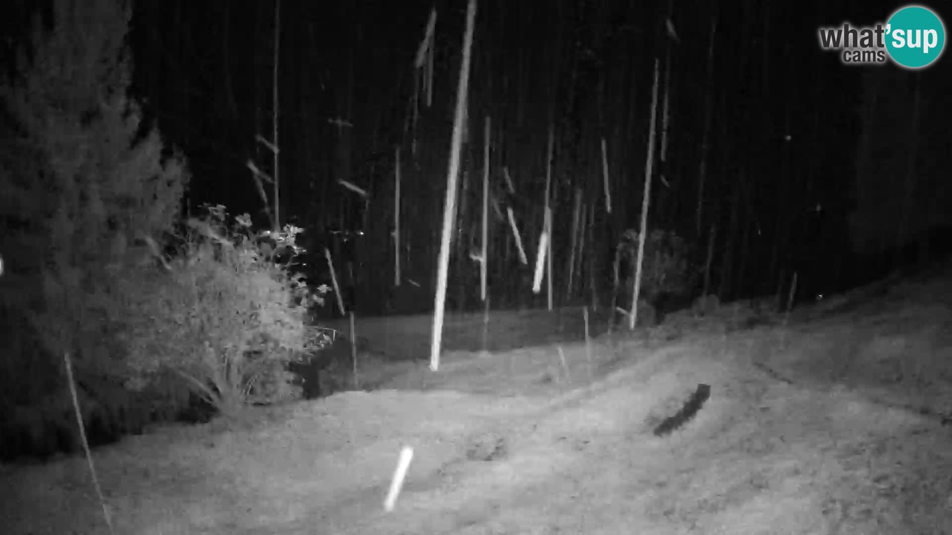 Slajka camera en vivo | Gorenja Vas | Eslovenia
