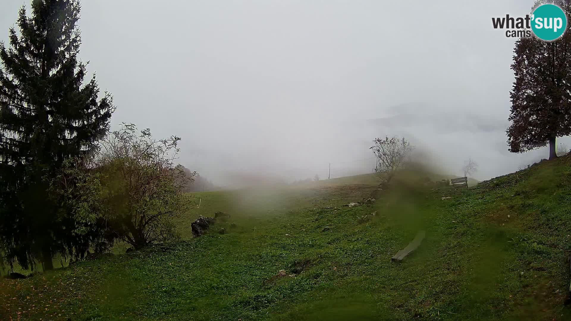 Slajka livecam | Gorenja Vas | Slovénie