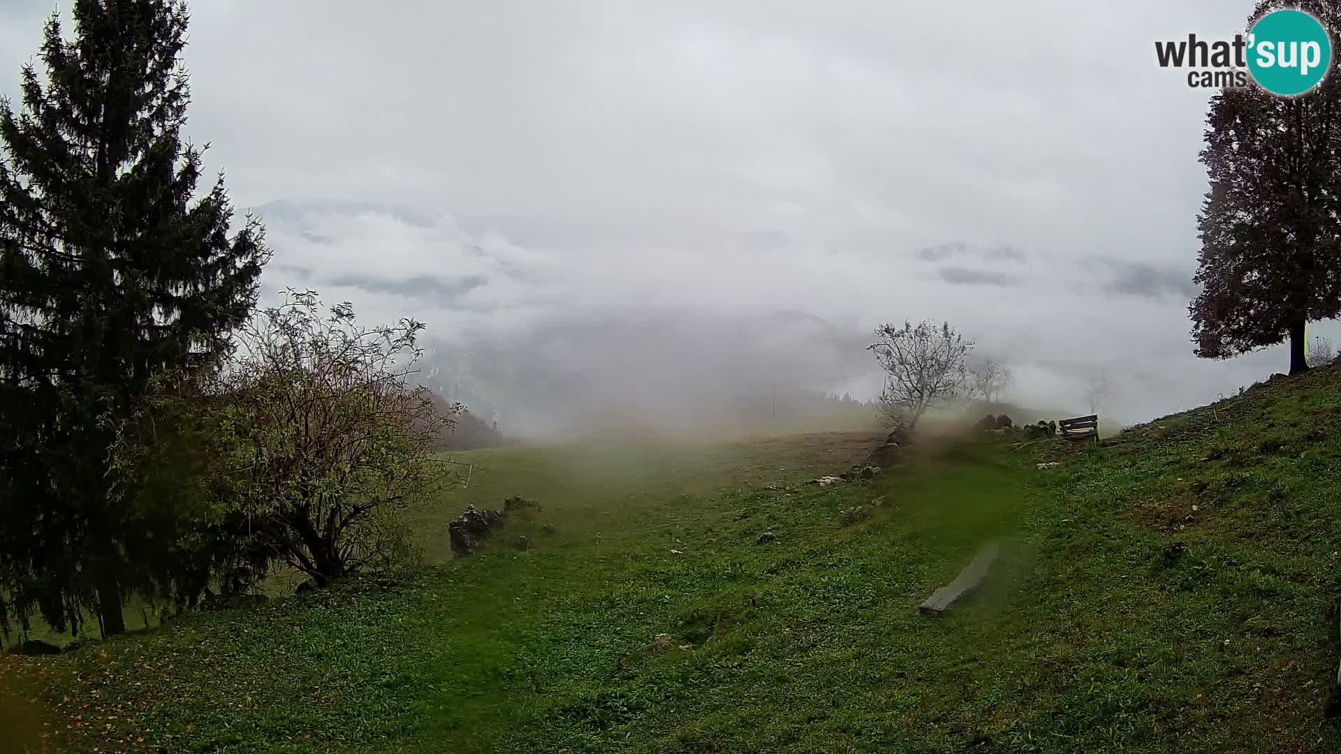 Slajka camera en vivo | Gorenja Vas | Eslovenia