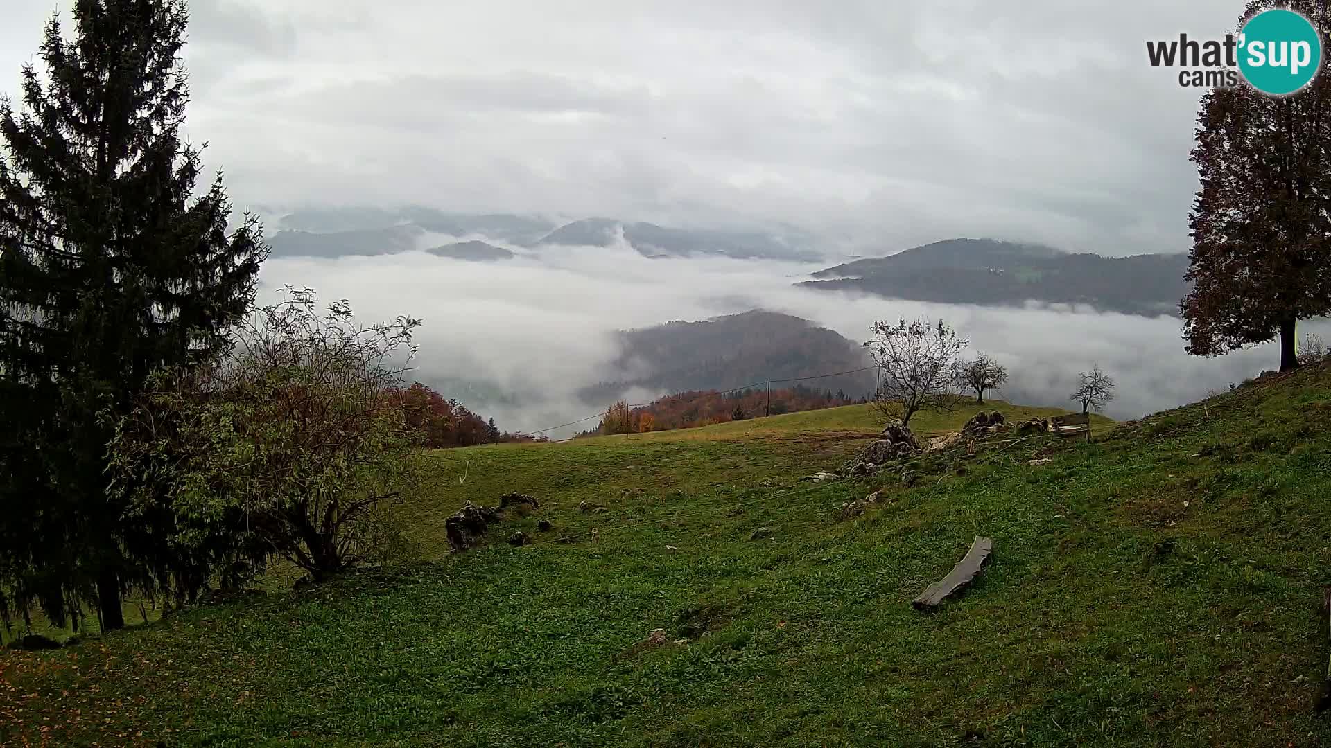 Slajka webcam | Gorenja Vas | Slowenien