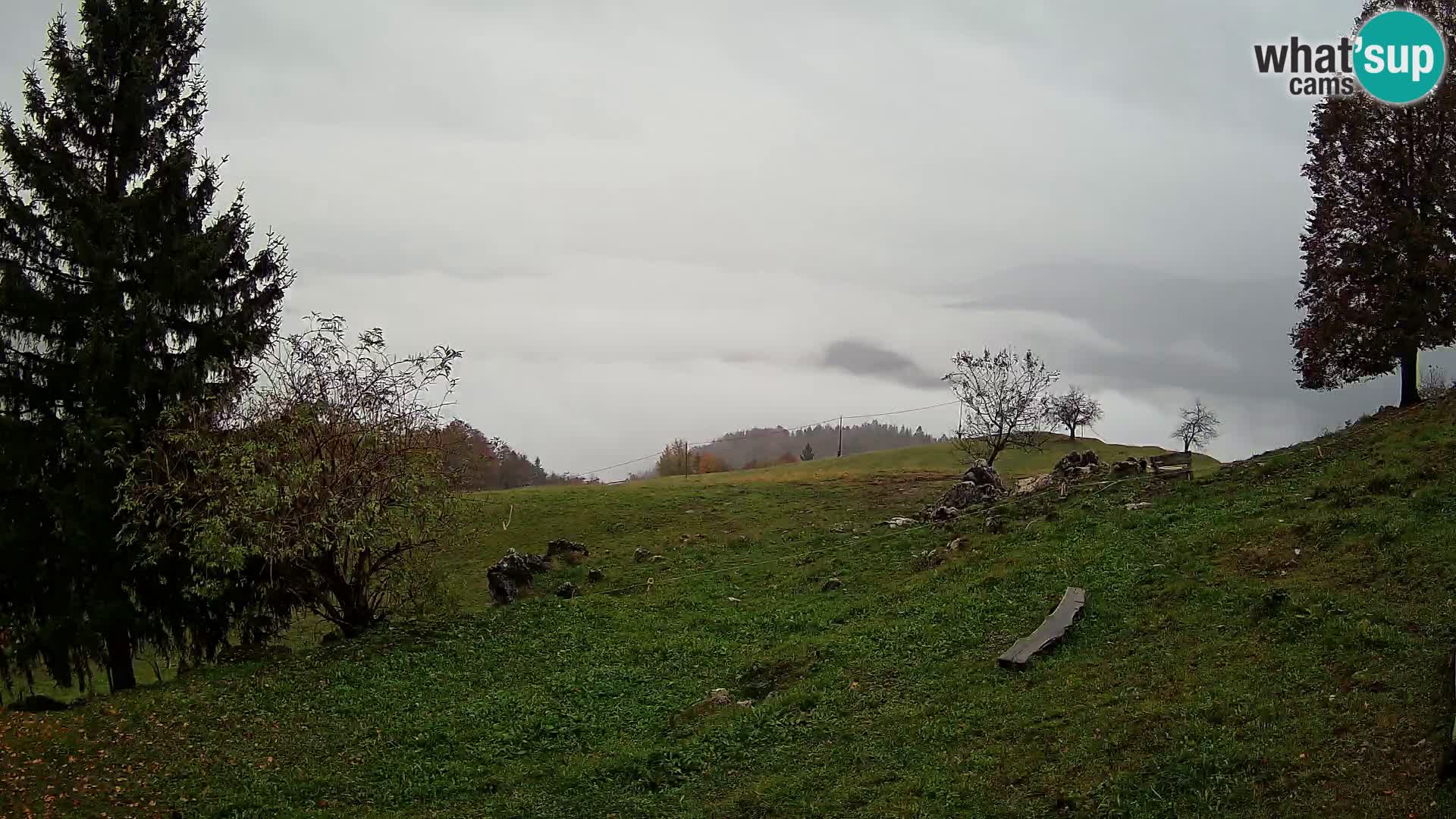 Slajka webam | Gorenja vas | Slovenia