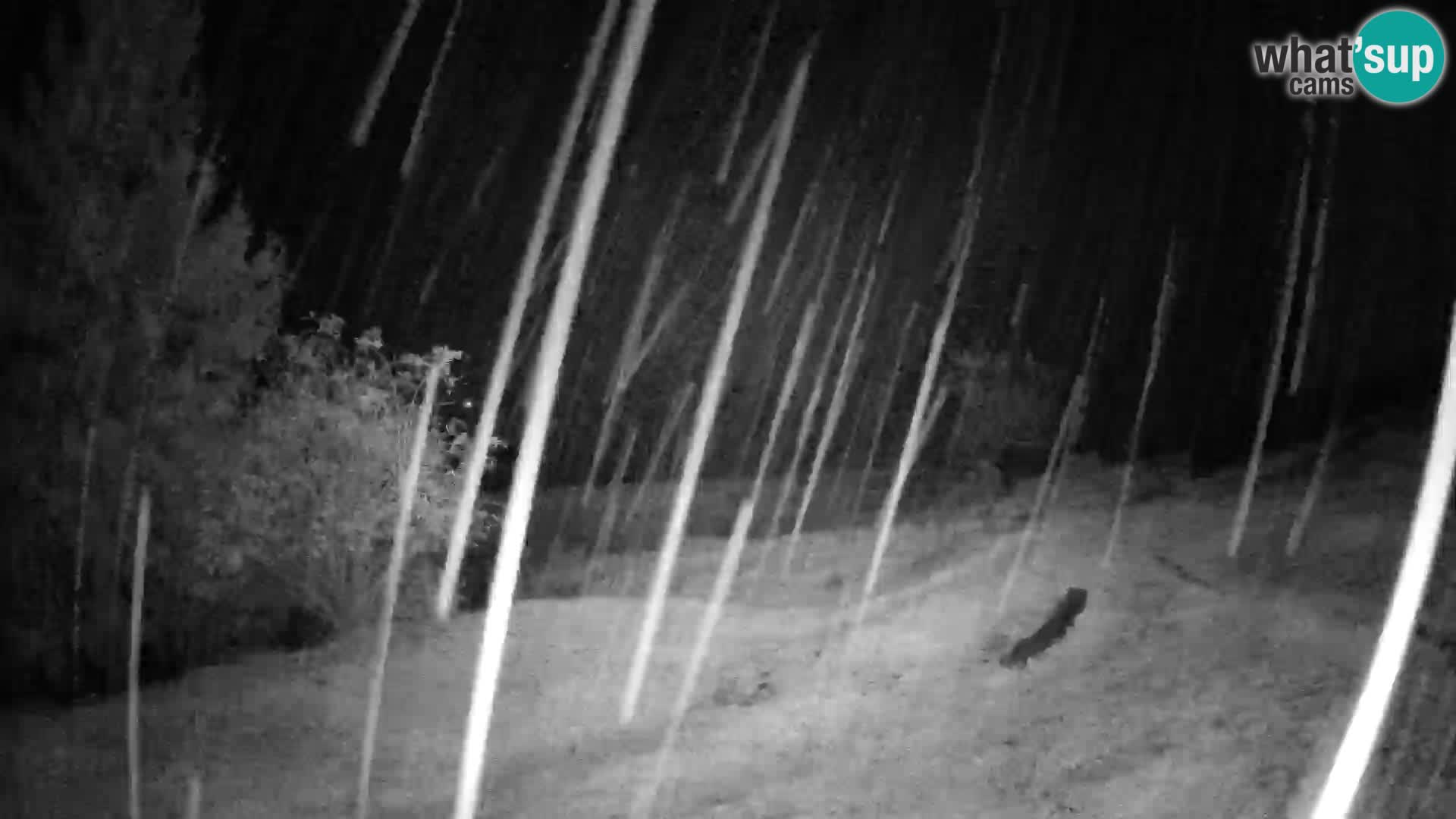 Webcam Slajka | Gorenja vas | Slovenia