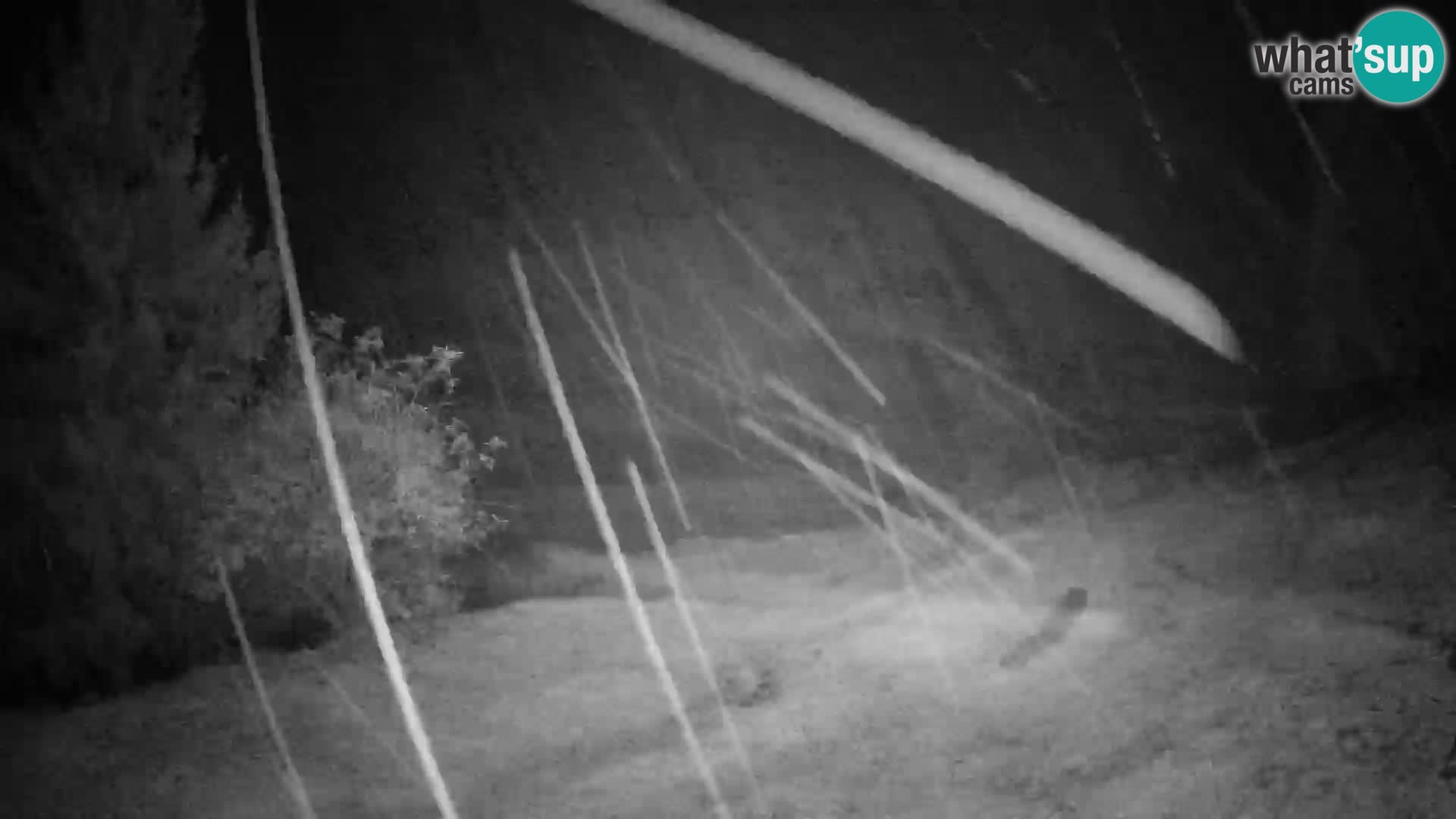 Slajka livecam | Gorenja Vas | Slovénie