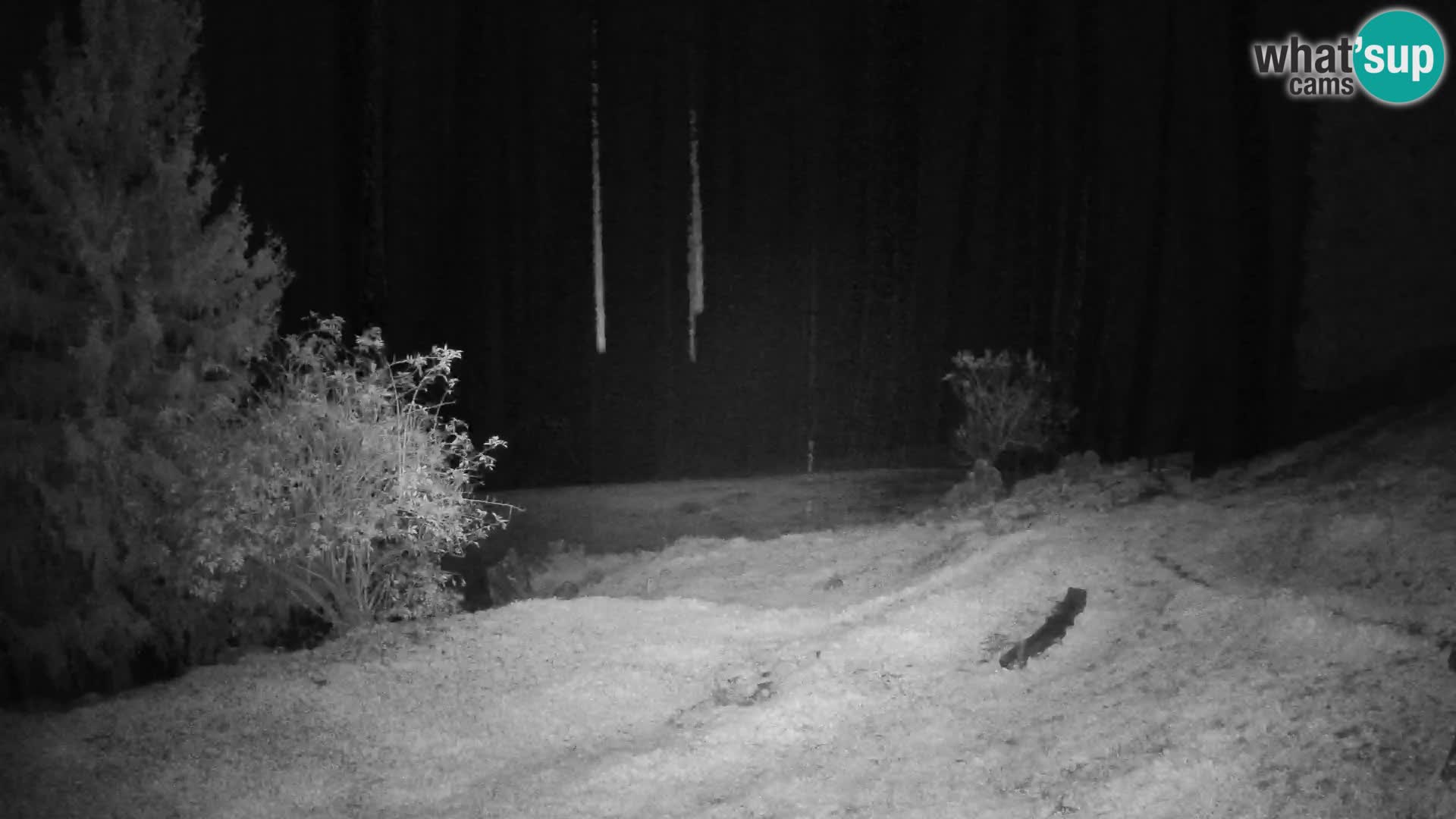 Slajka webcam | Gorenja Vas | Slowenien